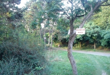 Un ONG din Cluj-Napoca propune ”exproprierea pentru spații verzi”