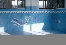 Spatiu Verde Damian Consulting Piscine Constanta Cascade Fantani Arteziene Saune Gratate de Gradina Constanta