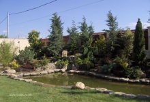 Spatiu Verde HORTISERV SRL  Buzau Proiectare Montaj Piscine Tratarea Apei Accesorii Filtrare Gazonare Sisteme de Irigatii Buzau