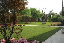 Spatiu Verde Mario Art Garden Amenajari Peisagistice Bucuresti Sector 1, Proiectare Amenajare si Intretinere Gradini