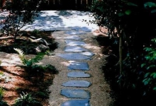 Spatiu Verde Marry&Nelly Style Amenajari Peisagistice Arad, Proiectare Amenajare si Intretinere Gradini