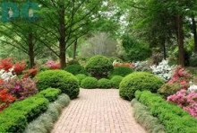 Spatiu Verde Marry&Nelly Style Amenajari Peisagistice Arad, Proiectare Amenajare si Intretinere Gradini