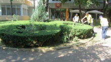 Spatiu Verde Social Green Services S.R.L. - Amenajari si Intretinere Spatii Verzi, Gradini, Parcuri Botosani, Dorohoi, Darabani, Flamanzi, Saveni