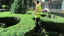 Spatiu Verde Social Green Services S.R.L. - Amenajari si Intretinere Spatii Verzi, Gradini, Parcuri Botosani, Dorohoi, Darabani, Flamanzi, Saveni