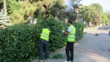 Spatiu Verde Social Green Services S.R.L. - Amenajari si Intretinere Spatii Verzi, Gradini, Parcuri Botosani, Dorohoi, Darabani, Flamanzi, Saveni