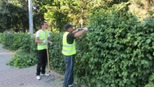Spatiu Verde Social Green Services S.R.L. - Amenajari si Intretinere Spatii Verzi, Gradini, Parcuri Botosani, Dorohoi, Darabani, Flamanzi, Saveni