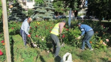 Spatiu Verde Social Green Services S.R.L. - Amenajari si Intretinere Spatii Verzi, Gradini, Parcuri Botosani, Dorohoi, Darabani, Flamanzi, Saveni