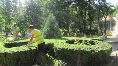 Amenajari, Decoratiuni, Intretinere Spatii Verzi, Gradin, Parcuri Botosani Amenajari, Decoratiuni, Intretinere Spatii Verzi, Gradin, Parcuri Botosani